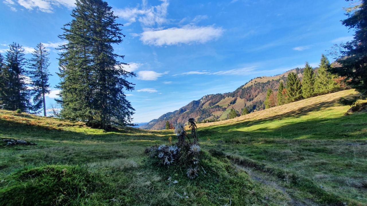 F E R I E N W O H N U N G "Am Halbenstein" Mit Garten Hörbranz Zewnętrze zdjęcie