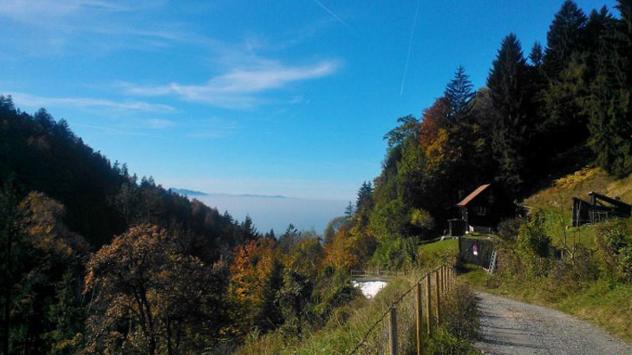 F E R I E N W O H N U N G "Am Halbenstein" Mit Garten Hörbranz Zewnętrze zdjęcie