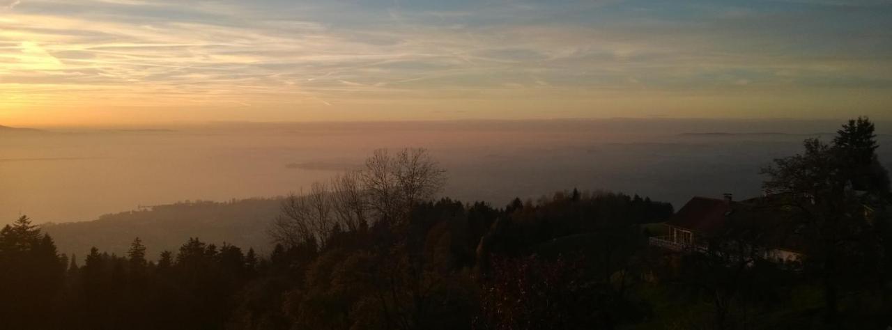 F E R I E N W O H N U N G "Am Halbenstein" Mit Garten Hörbranz Zewnętrze zdjęcie